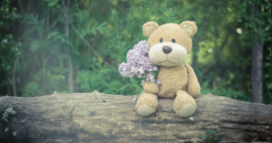 un orso che chiede perdono